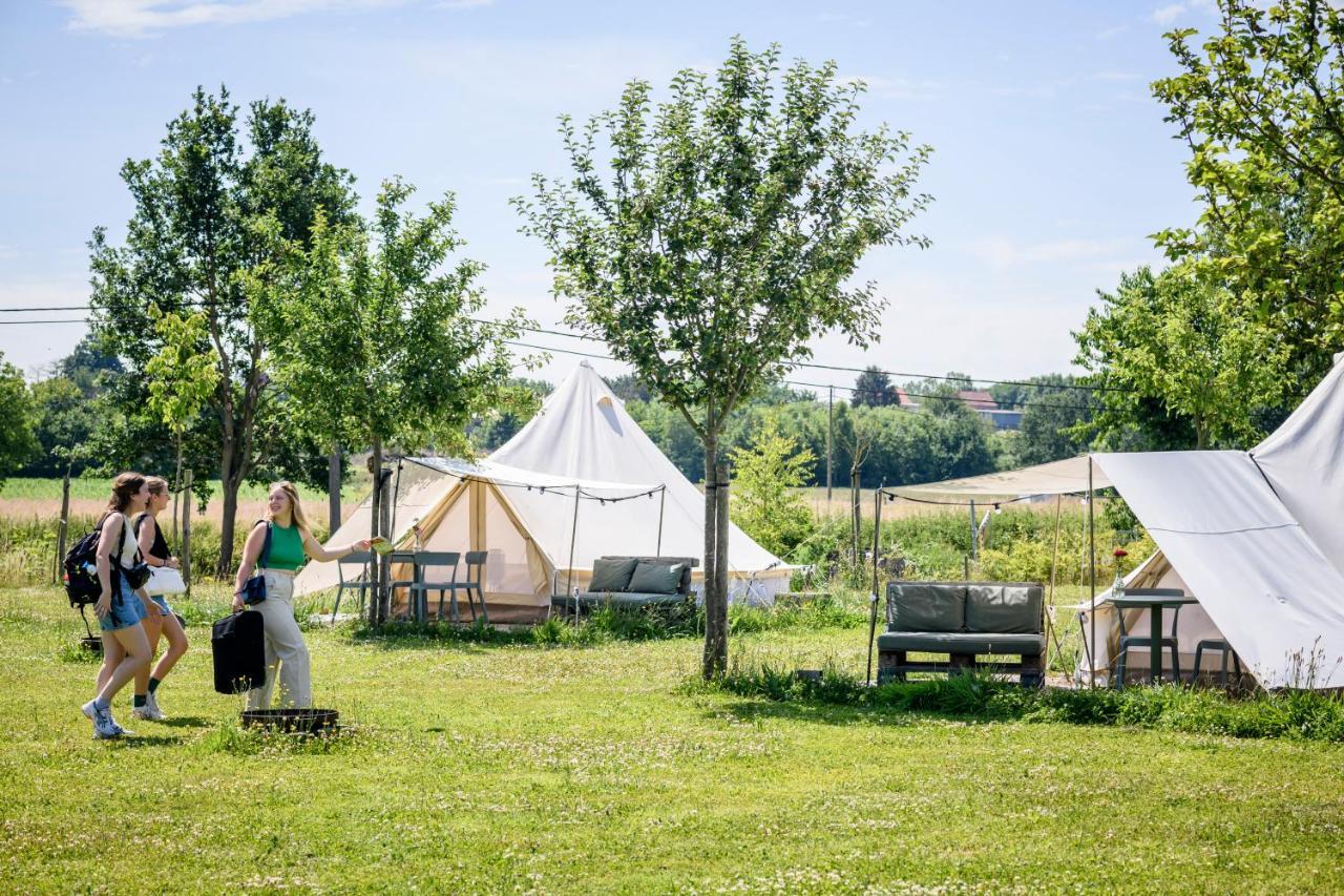 Pluimpapaver Hotel & Glamping Aarschot Zewnętrze zdjęcie