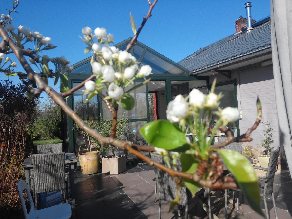 Pluimpapaver Hotel & Glamping Aarschot Zewnętrze zdjęcie